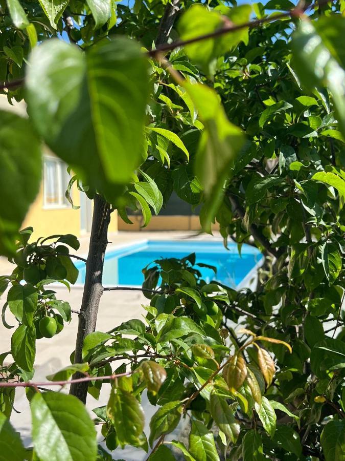 Casa Vacanze Mare Fuori カポテッラ エクステリア 写真